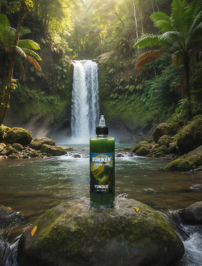 🌿 Yunque