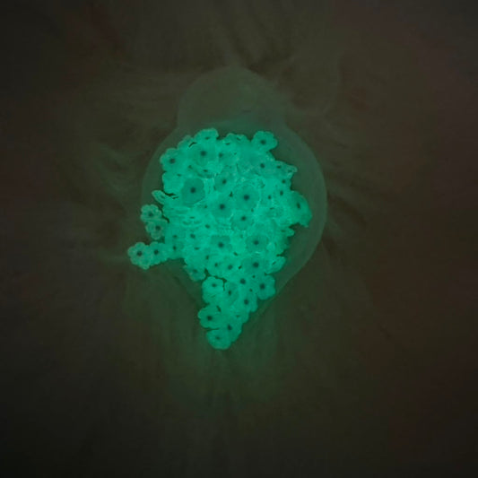 Florecita Glow In The Dark - Violeta